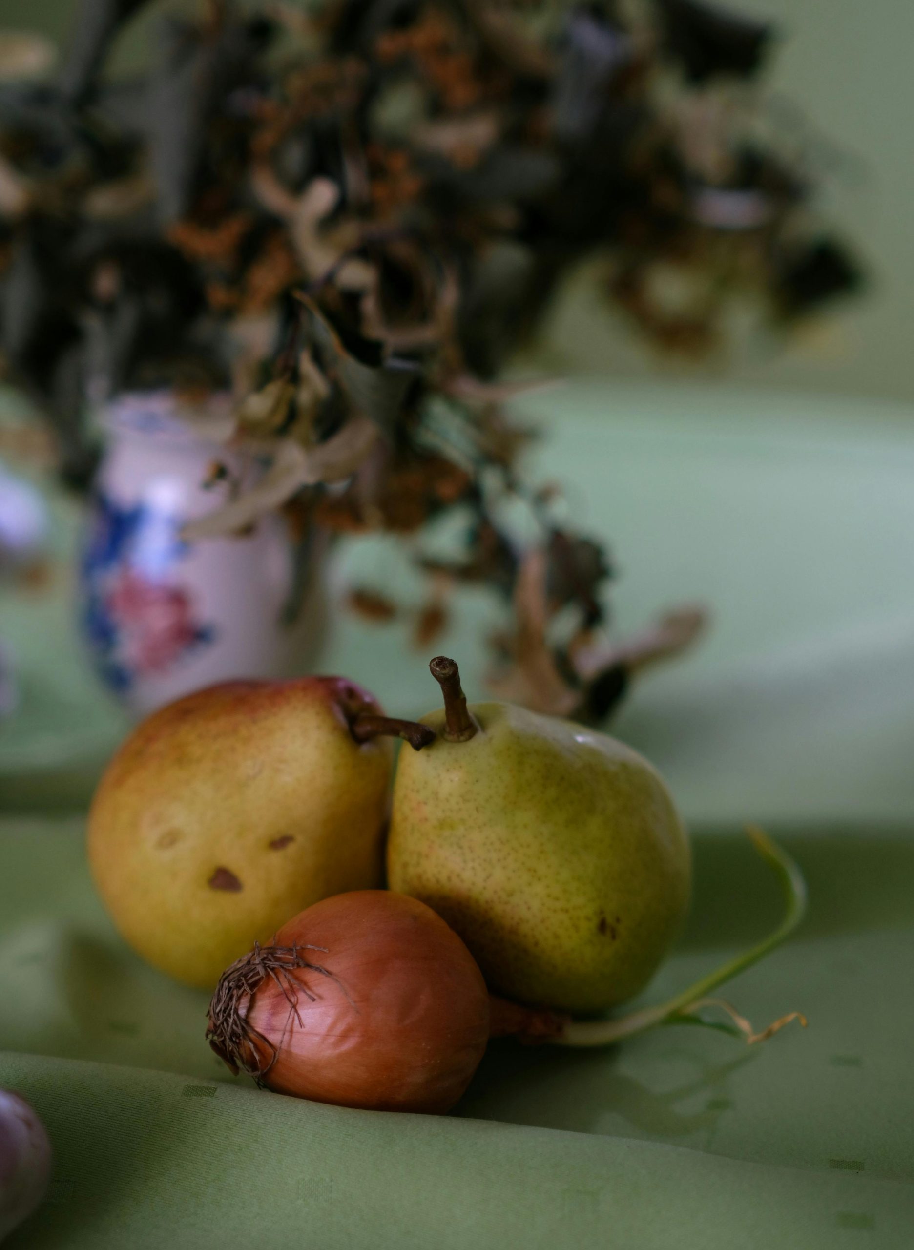 pexels szafran 33804619